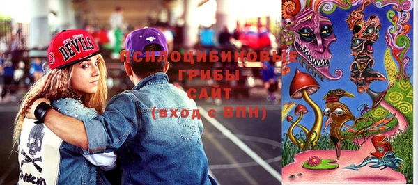 МДПВ Абаза